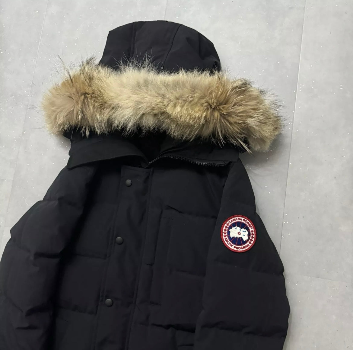 POPULAR- Canada Goose Carson